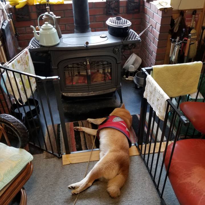 Ea478cd4 9523 4eb2 9834 2e47ee52de20 1608076152878