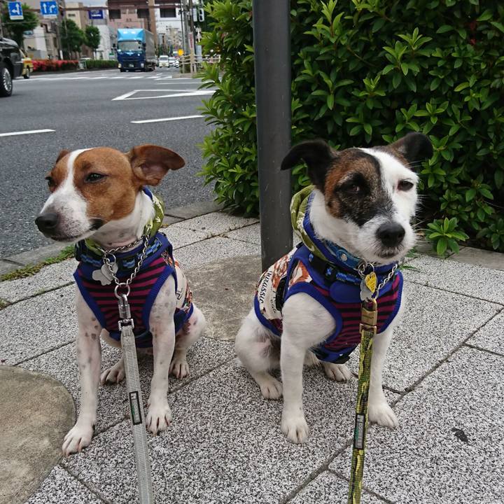 Ea47e23c 5354 40e3 8136 f66a00b4302a 1559690858652