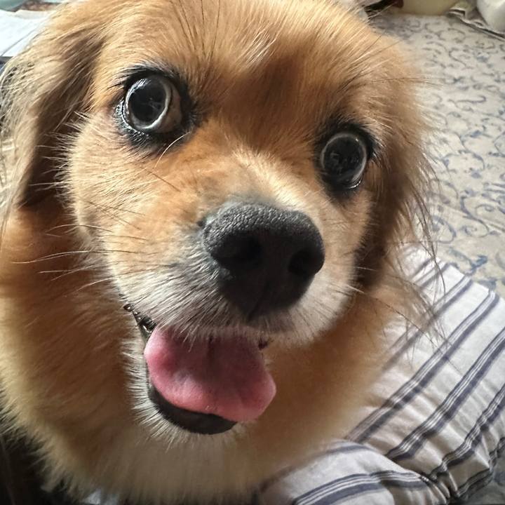 Ea481a75 1580 4dce 82c0 62ad7b10e621 1692566971493