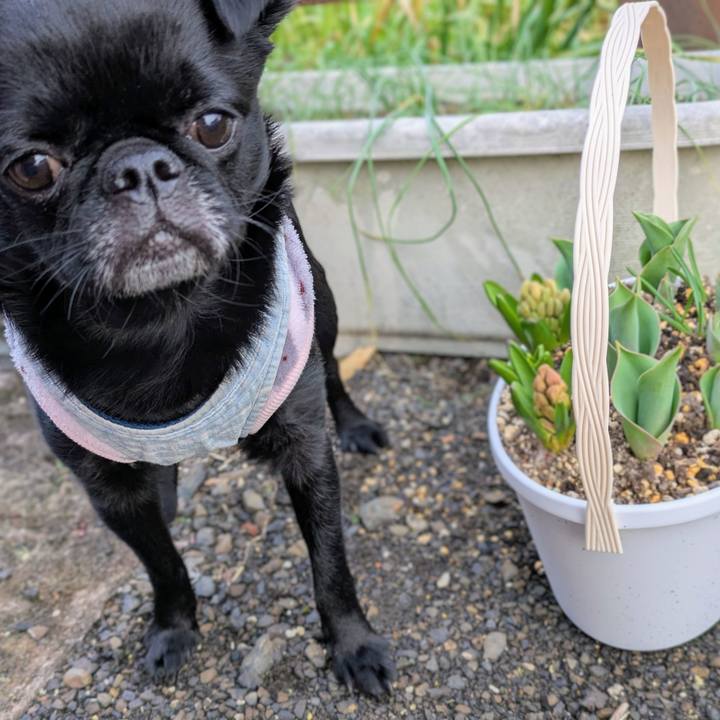 Ea48347f b2be 405a 8e82 21c9377ec6a5 1772231332200