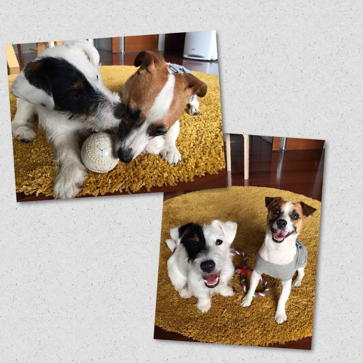 Ea4845f5 26ca 47c4 bfe4 f9ec7019698a 1557616052342