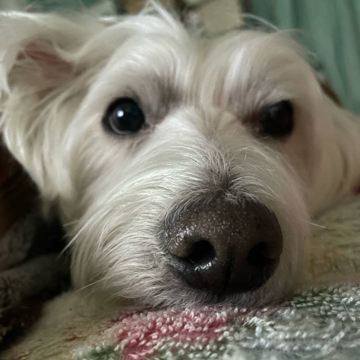 Ea484c67 2358 458b 8303 1d0bf619feba 1735511098974