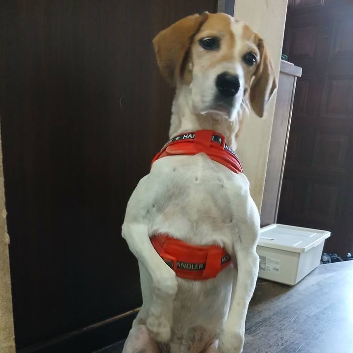 Ea485f75 9df0 48b2 ba83 a3a4d112d3cc 1758962378396