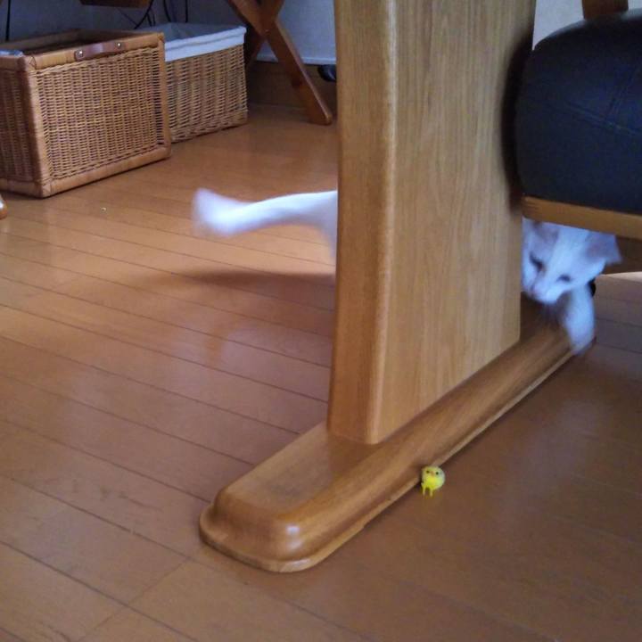 Ea489494 b2dd 48bf b50d 92cd8fe95365 1550806332742