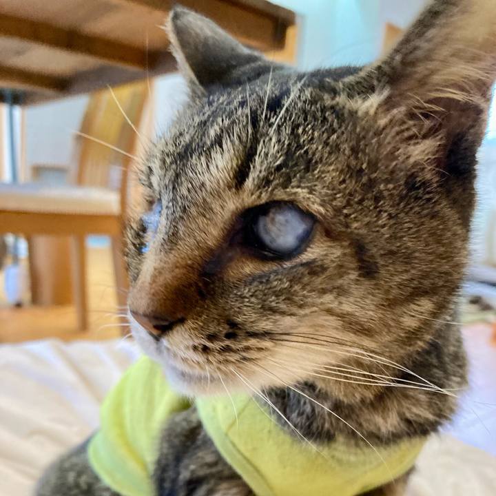 Ea489d49 c1a8 4c46 9425 c2f47689a6c0 1682202248596