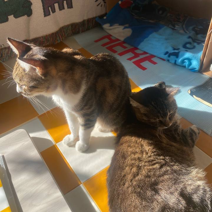 Ea48c540 7212 426e b21e 04ff25fa9641 1730677221167