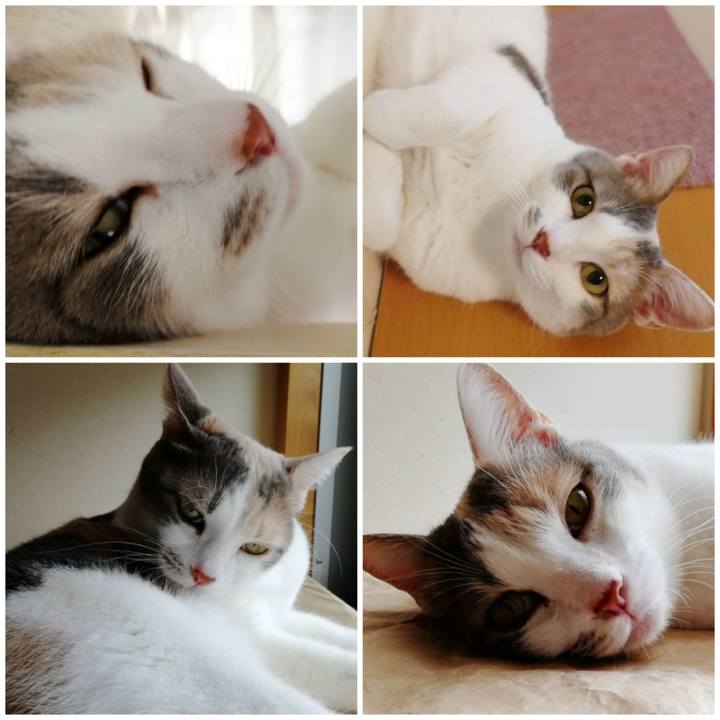 Ea49507c 8ca8 4db8 97df 0529d8ca0024 1596255349396