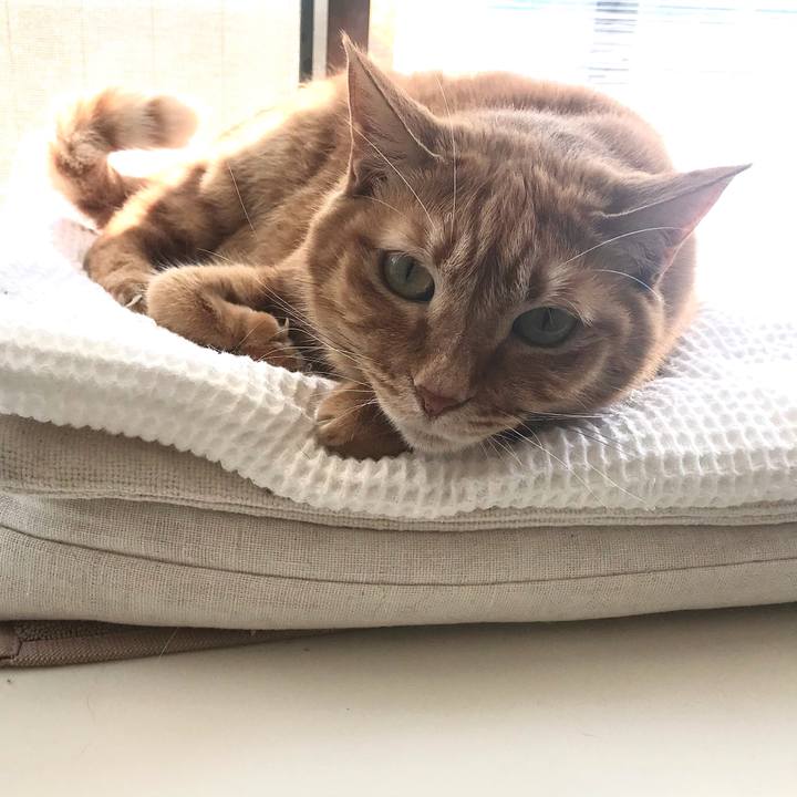 Ea49513a cff6 4fe2 a7ac ad990003c9bc 1616487611857