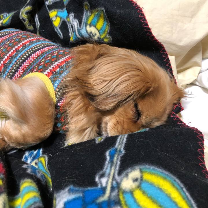 Ea498617 edaa 4db3 a50b bf3a517c140b 1551280579484