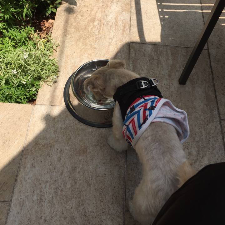 Ea498db2 ed7a 49f6 bdb2 a6bc98a64c89 1527925083753