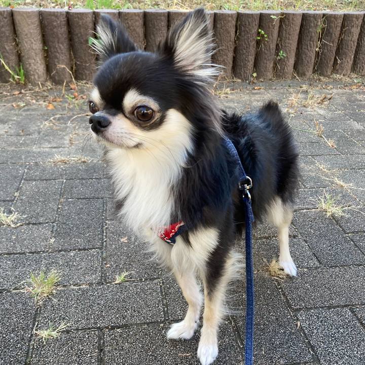 Ea49985e ec3d 4099 a42d 09a3e5a21917 1664696026330