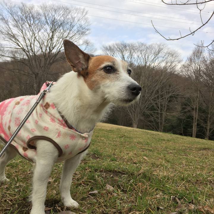 Ea49a0a2 e80f 4cab 8c6e 91d4e0cf4357 1648078221192