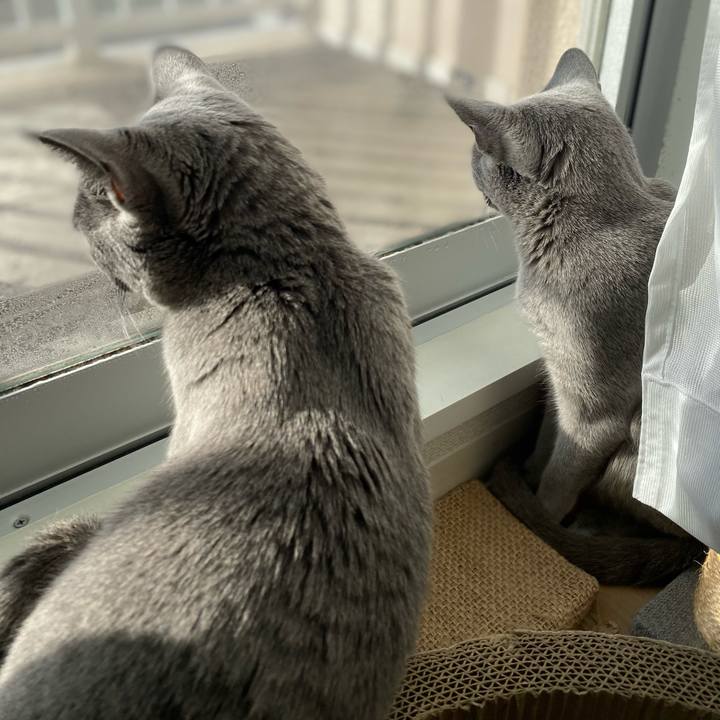 Ea49b4e8 821d 4d81 a235 ff5154368ccf 1642810209904