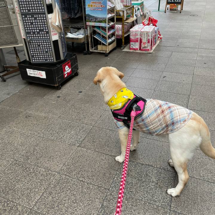 Ea49bc83 dc52 48c9 9ae0 aba4097a3831 1625748804864