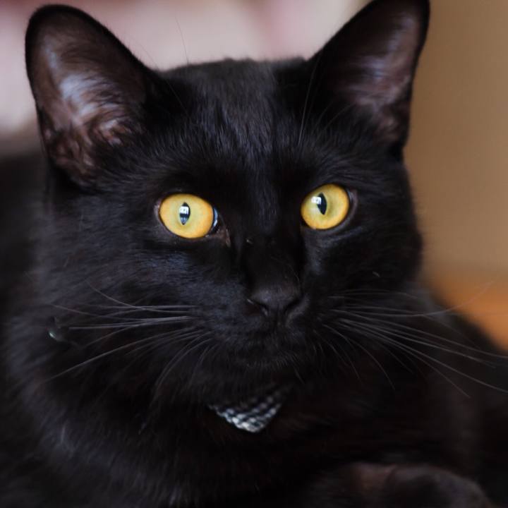 Ea49cd43 fd85 4a54 aa5c 4b2314a652e6 1525473643454