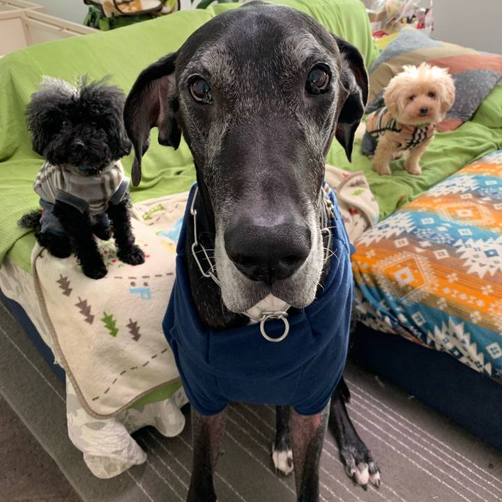 Ea49eb09 f638 4592 a735 546d9ed5fb1c 1575326536822