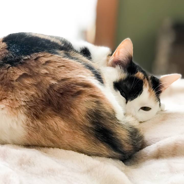 Ea4a5e8f b768 4ec1 a221 a0092790becc 1523286769197