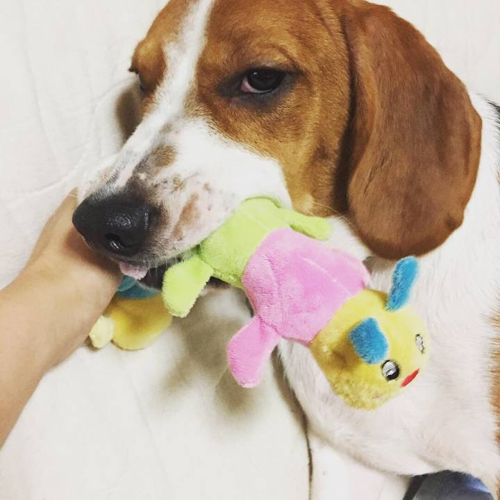 Ea4a7803 0474 4862 8a72 29e686d41343 1538321836773