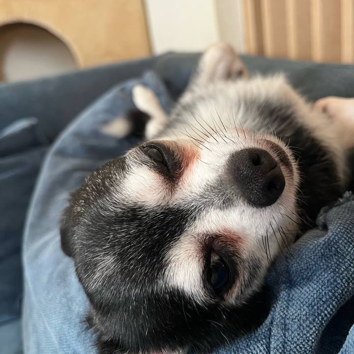 Ea4a7842 a946 455f 8e2a 04f368c09f67 1727572205579