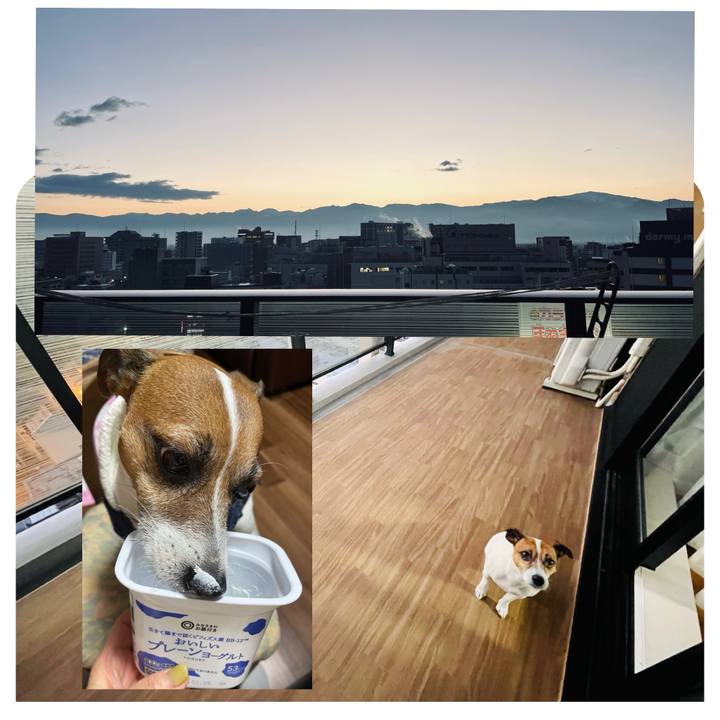 Ea4ae953 8c48 4549 aaf5 da49caeae1ee 1740576129046