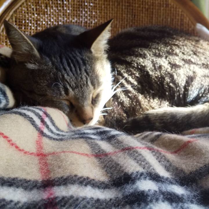 Ea4af9a4 02ae 421f ab05 b89b54e01477 1649141411823