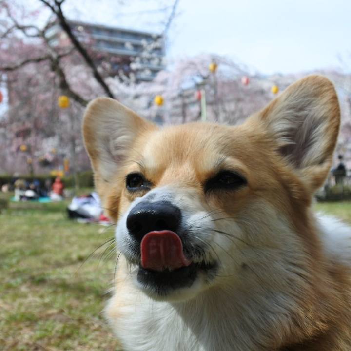 Ea4b0ec9 ff27 4040 a7a4 00510c54fb97 1522917180357