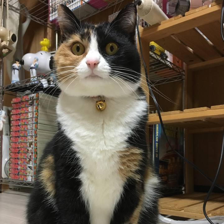 Ea4b267e f80f 4cef 9c24 08ed274e1854 1516882735071