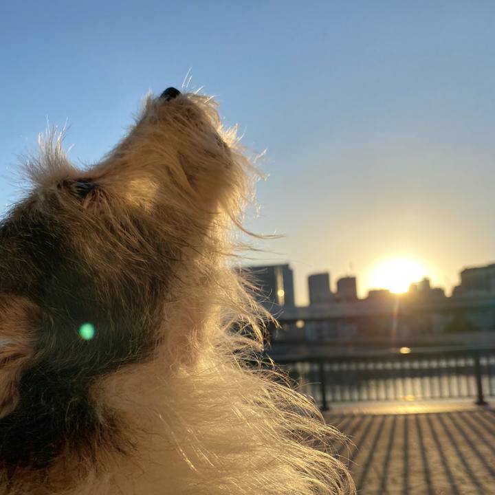 Ea4b27fd b403 413b a894 2304468f5bf0 1633160405467