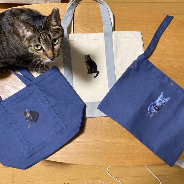 Ea4b2c55 1ed7 4f6e a1ef 37710dc8a457 1689168656084