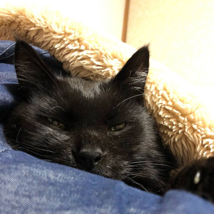 Ea4b413c 82b4 4e98 a6d1 7a34f0564aba 1637202129720