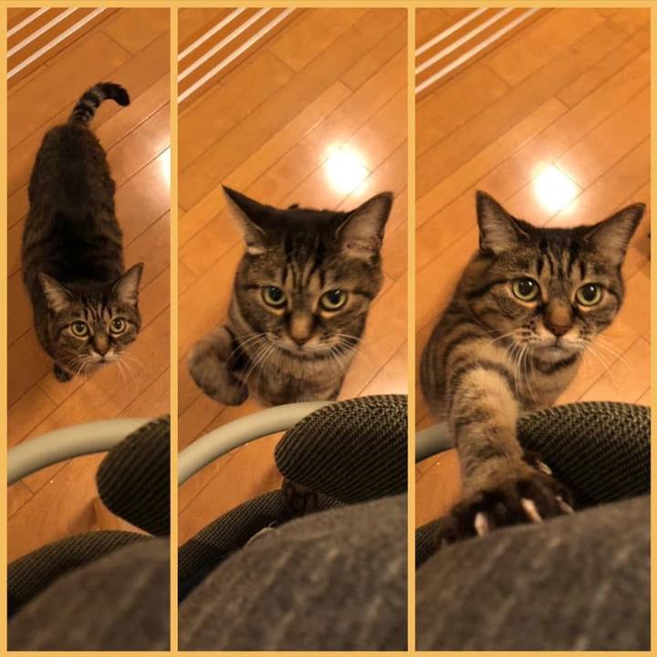 Ea4b61f9 64e1 4625 9883 d3f620721039 1760833623000