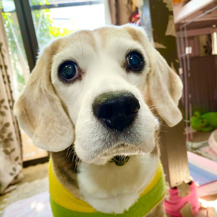 Ea4b6f5c 2e13 4b94 ab6e 7cc85ec02634 1640088922718