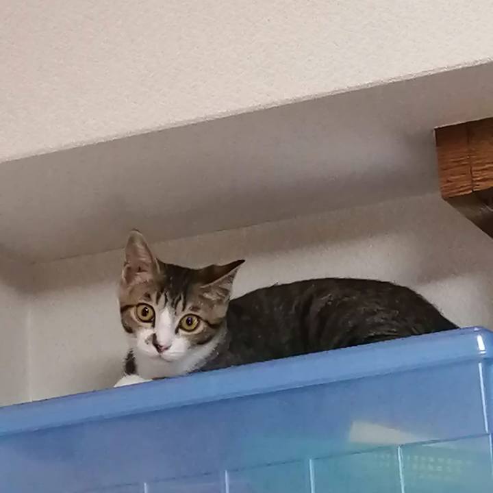 Ea4b9042 ac16 4cc8 8137 62514f95ce37 1662773932142