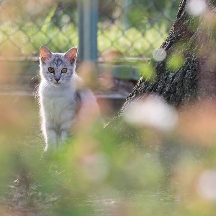 Ea4c1ee3 d72a 46a7 babf 93be1471876b 1537016232424