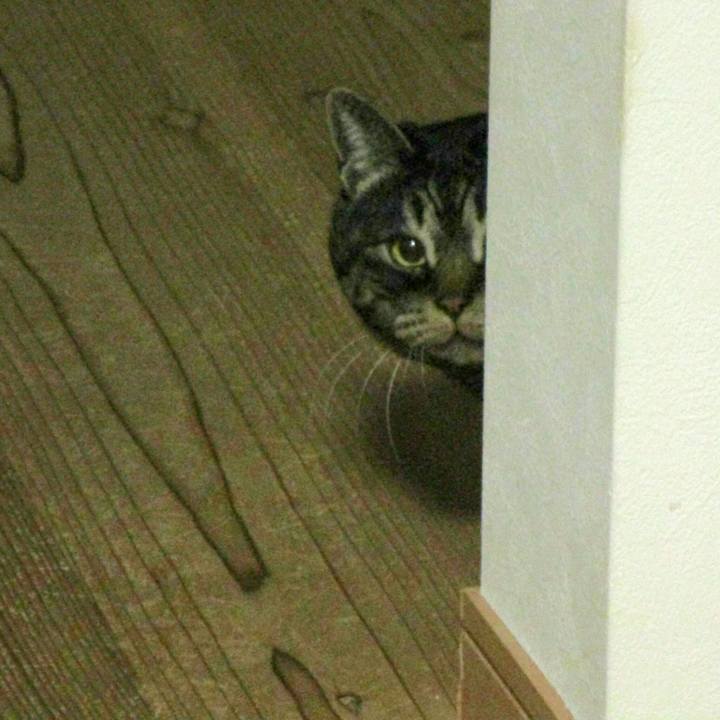 Ea4c708e f4fb 42ef 8127 712fad1398b1 1516797077306