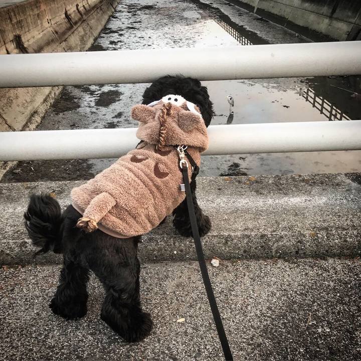 Ea4c99a4 5bd3 4afb 8ef9 5d3a6979a1be 1546608709406