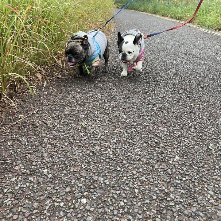 Ea4cdc7a 27f8 43c8 a768 9e7675bfd0e0 1708312266868