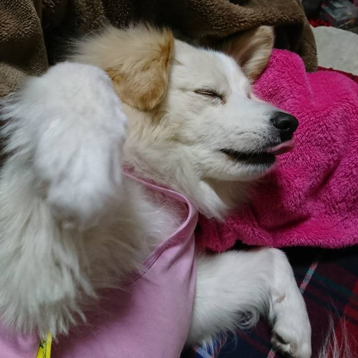 Ea4ce3bb 781c 4f84 8085 6389995546c8 1518206303357