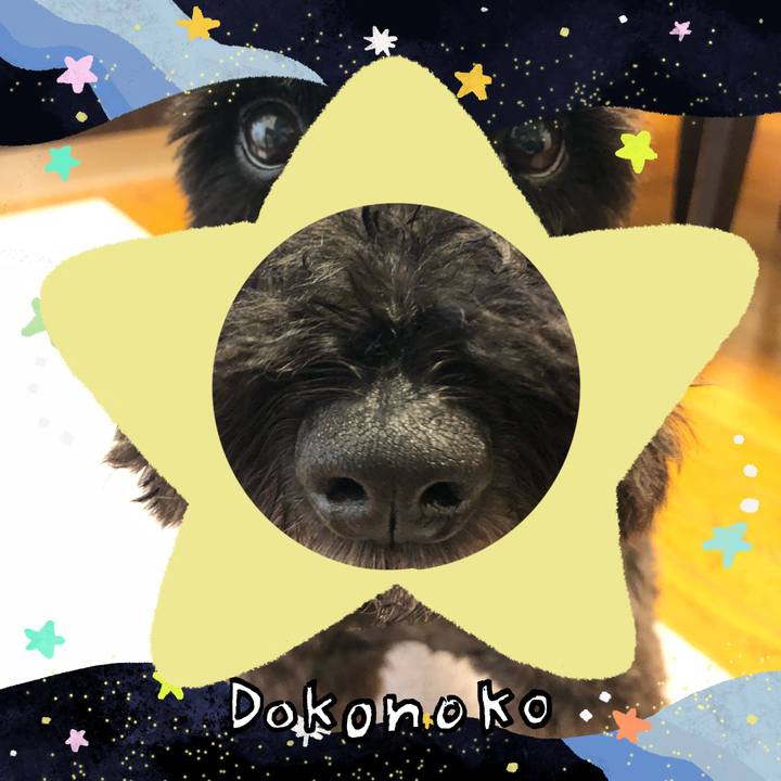 Ea4cfd1c d88c 4947 b129 971baa672ec0 1720994387994