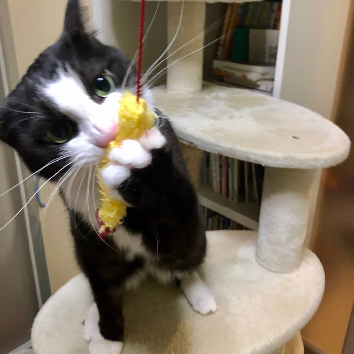 Ea4d3ec3 c239 42c4 9b87 1971ed52c458 1585999367476