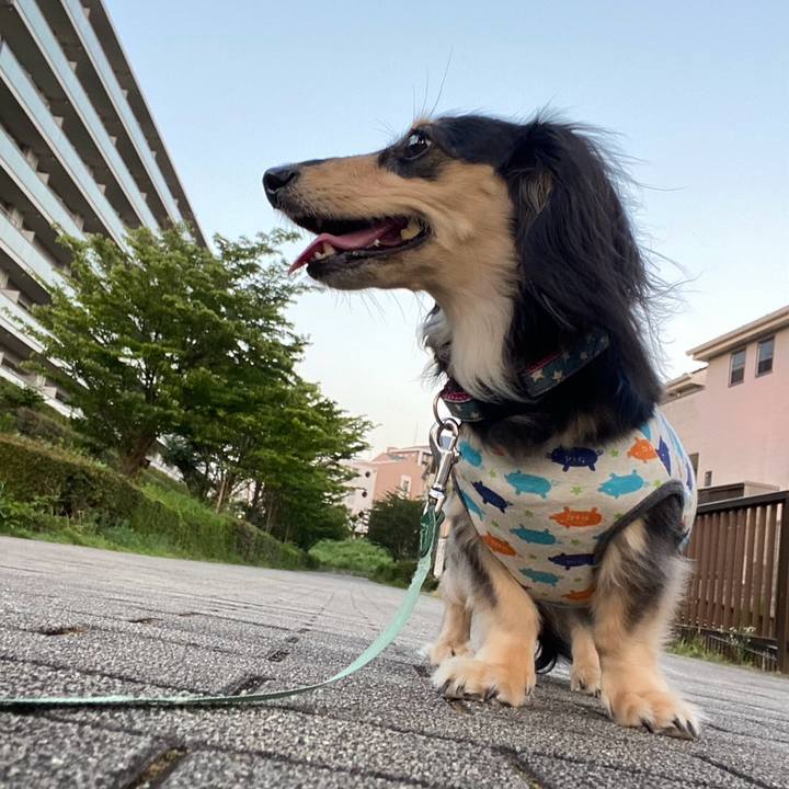 Ea4d61d8 1274 4ef6 8d57 ed288e168ad9 1751163395148