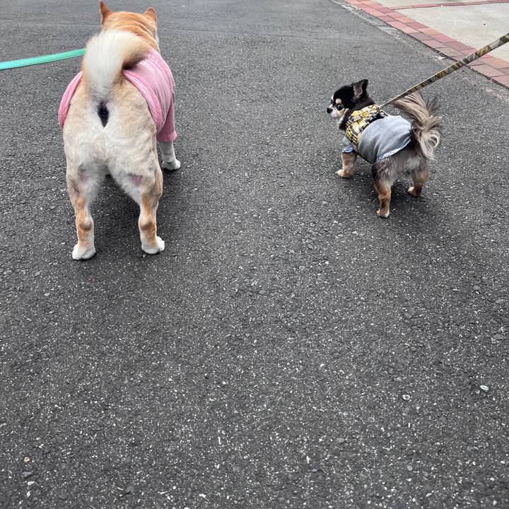 Ea4d668f a3e0 47d3 8724 084912d99200 1717401717897