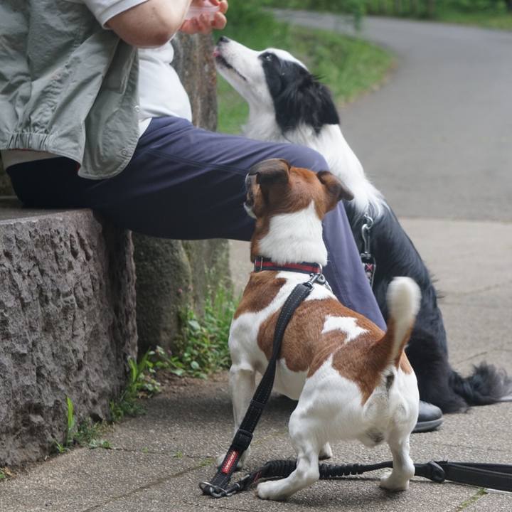 Ea4daa07 11fe 4e61 8bab b6937dc94e1e 1527894584665