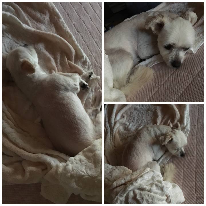 Ea4db256 a9e3 4b9b ba97 f979991d3e50 1533157735146