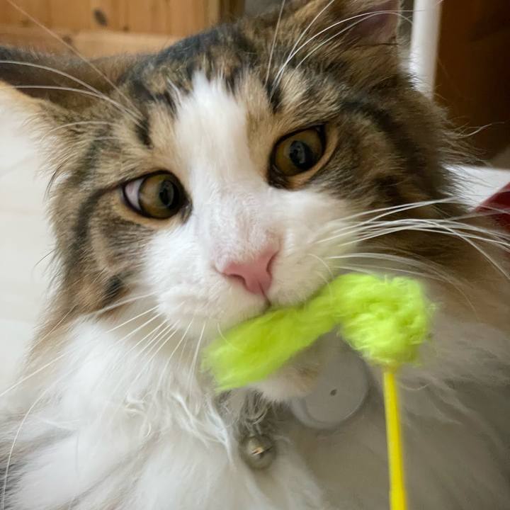 Ea4e582c 1950 4963 829c 4b3785d74a59 1640728125676