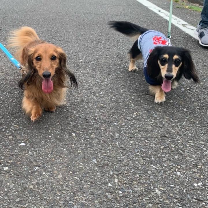 Ea4eadeb bd2b 4031 85c4 ad92ce4bebb2 1714429229904