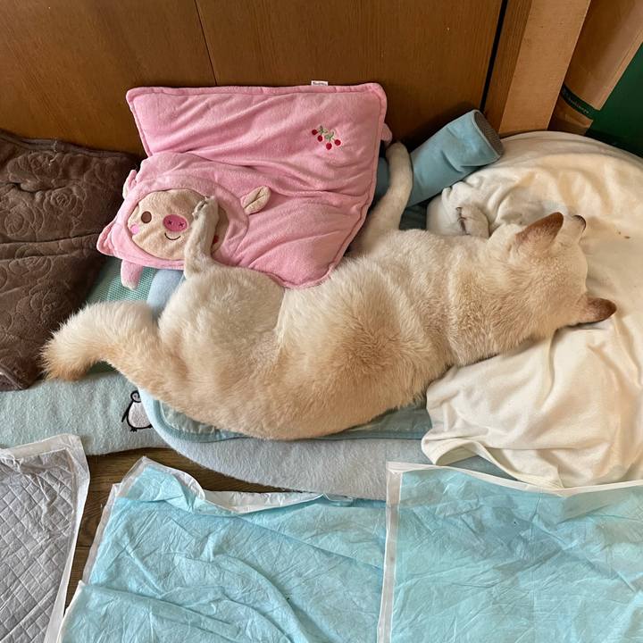 Ea4eb4cc 547f 4dc8 bbbb e0396d0ac740 1634295312508