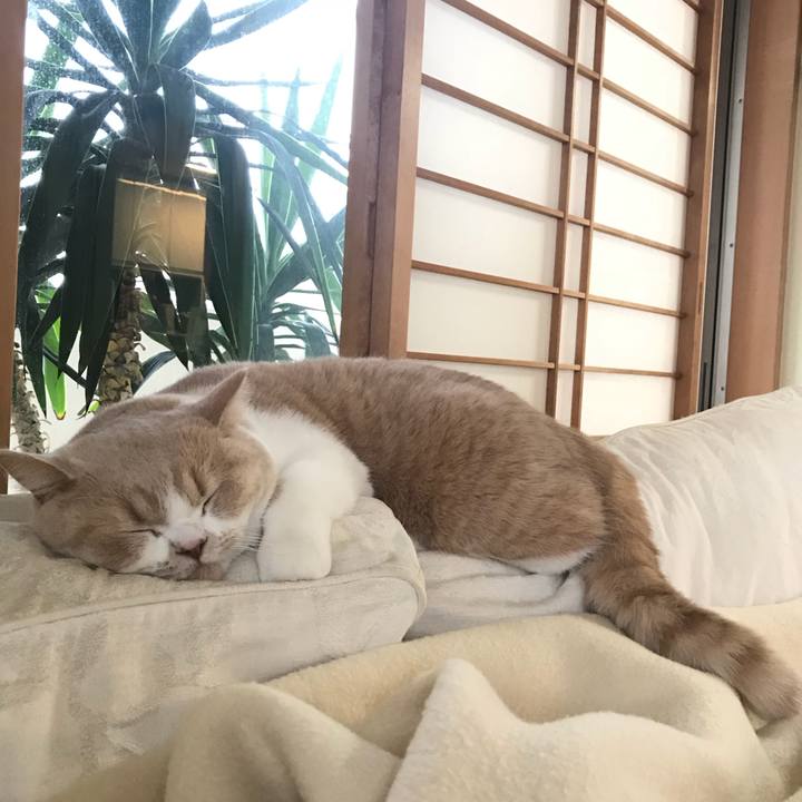 Ea4ec354 12a1 4de5 8078 3473de7f9994 1511942946906