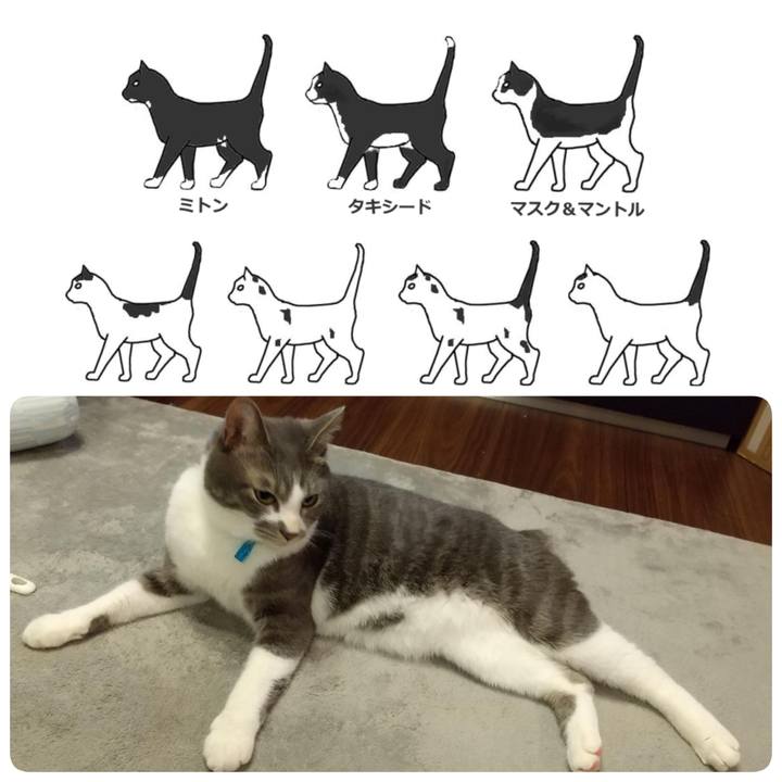 Ea4ee4ca 4bfa 4d9f b20f 8c0fb972467d 1615416455971