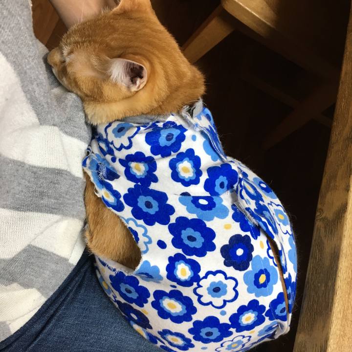 Ea4efaee 3e7f 4169 be99 bf0172beedfd 1526731988244